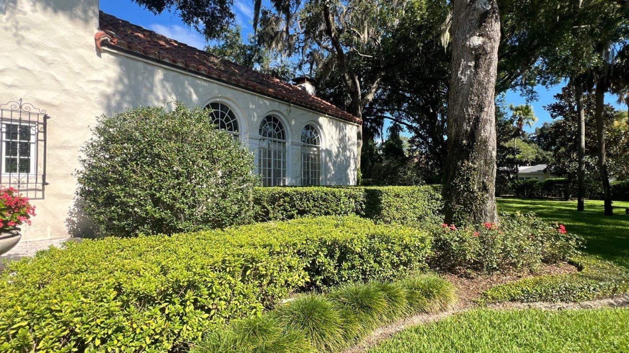 Mature landscape design with palms, oak canopy, and stucco home in Central Florida — Firsthand Lawn and Landscape