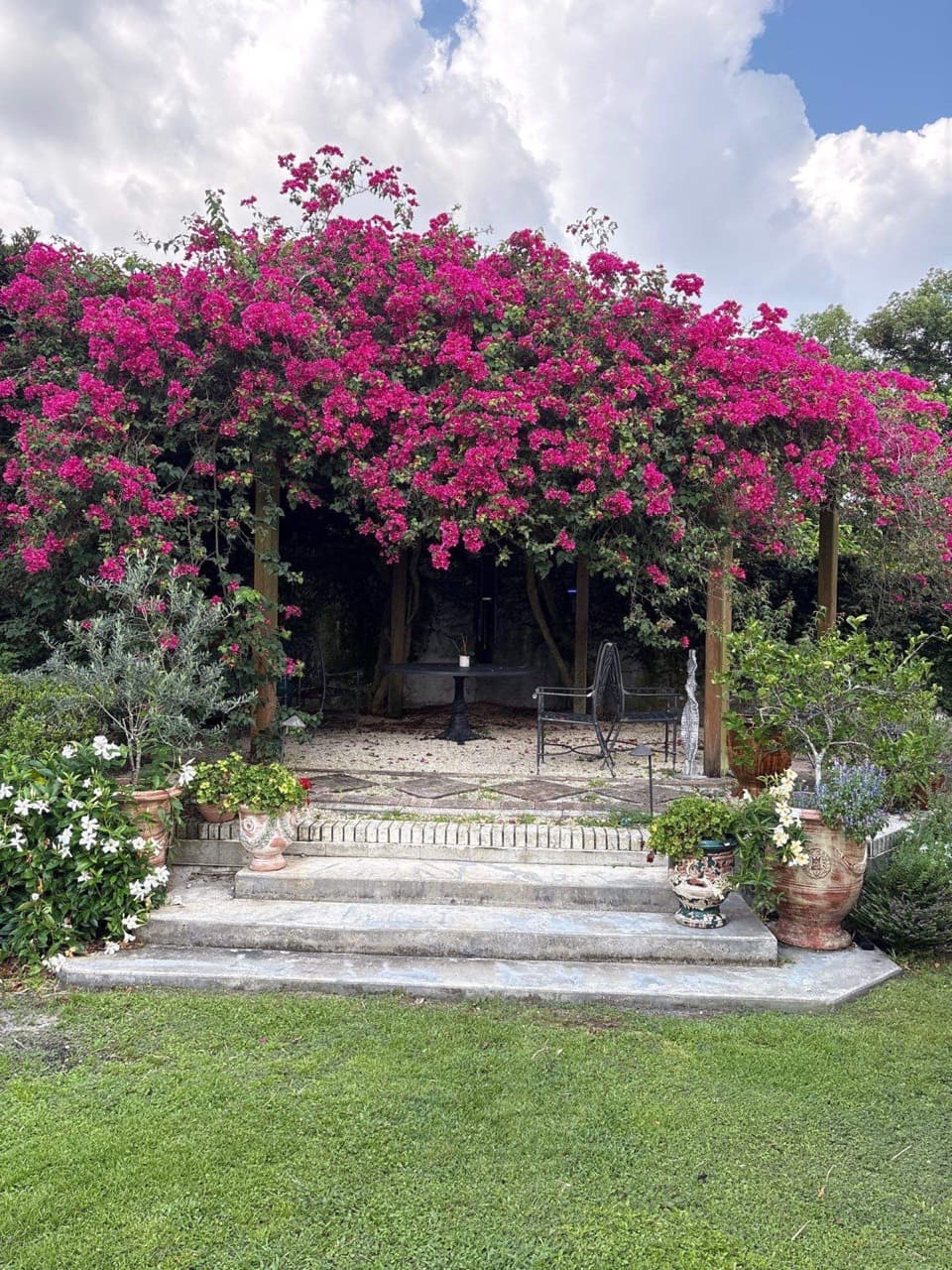 Pergola covered in bougainvillea over hardscape patio in Central Florida — Firsthand Lawn and Landscape