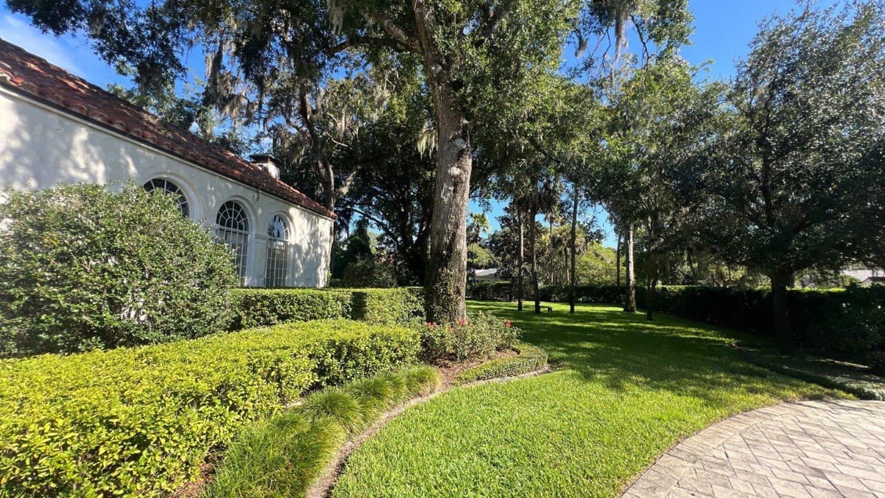 Stucco home corner with mature oak and tidy hedge bed in Central Florida — Firsthand Lawn and Landscape