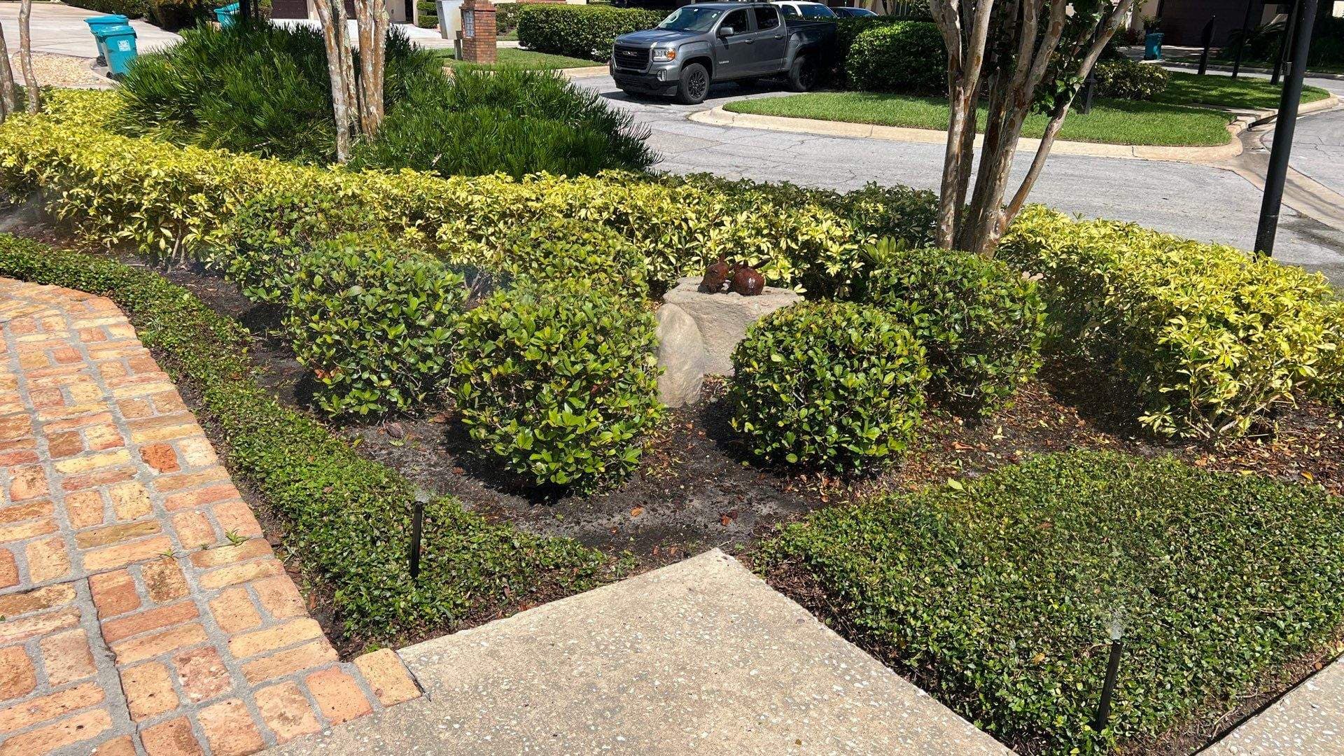 Professionally maintained landscaping in Orlando, FL