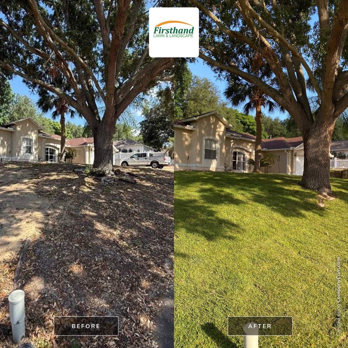Before-and-after of a leaf-covered Central Florida side yard restored and cleared — Firsthand Lawn and Landscape