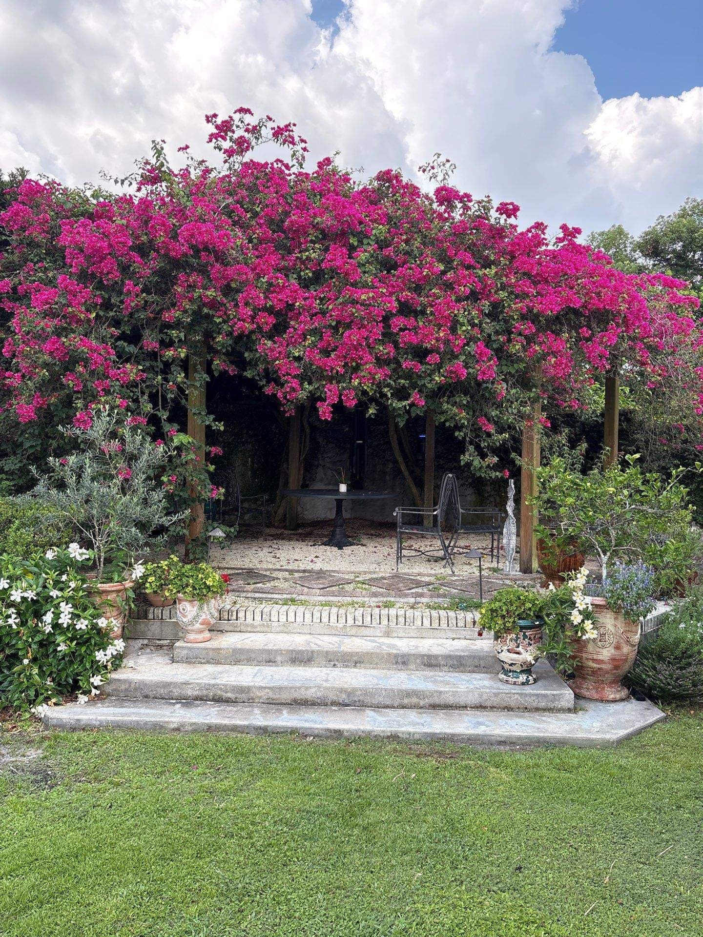 Professionally maintained landscaping in Winter Park, FL